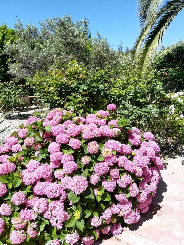 Villa Angel - Spa Caunes-Minervois 외부 사진